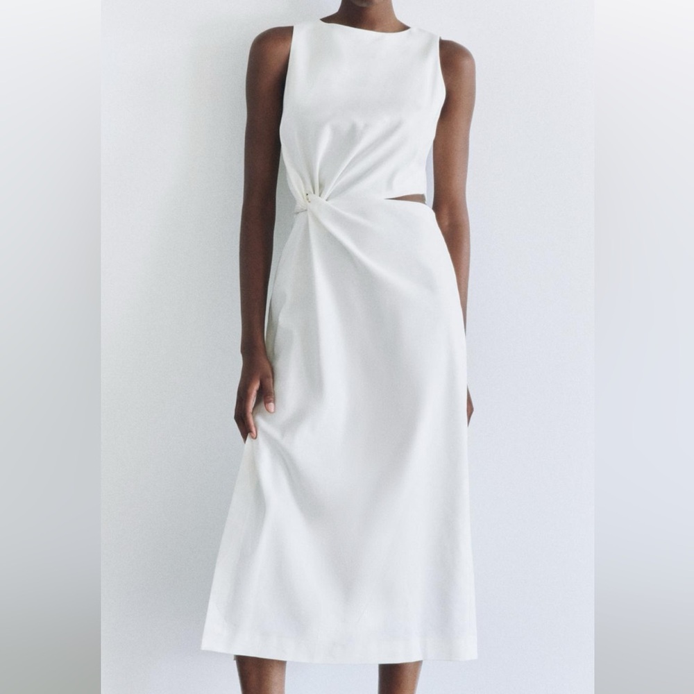 NWT Zara Dress